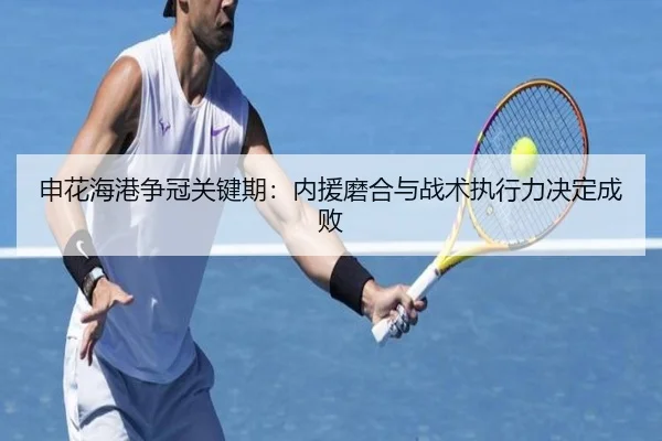 申花海港争冠关键期：内援磨合与战术执行力决定成败