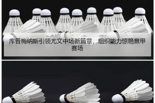 ku-pu-mei-na-si-yin-ling-you-wen-zhong-chang-xin-pian-zhang-zu-zhi-neng-li-jing-yan-yi-jia-sai-chang-3-404.jpg