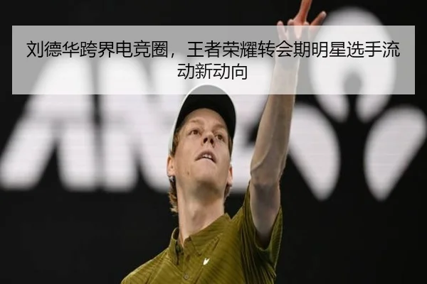 刘德华跨界电竞圈，王者荣耀转会期明星选手流动新动向