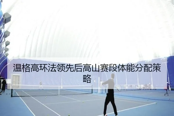 wen-ge-gao-huan-fa-ling-xian-hou-gao-shan-sai-duan-ti-neng-fen-pei-ce-lve-2-374.jpg