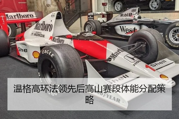 wen-ge-gao-huan-fa-ling-xian-hou-gao-shan-sai-duan-ti-neng-fen-pei-ce-lve-3-757.jpg