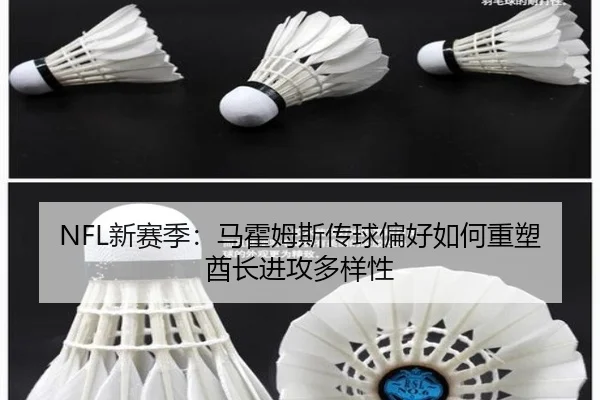 xin-sai-ji-ma-huo-mu-si-chuan-qiu-pian-hao-ru-he-zhong-su-qiu-zhang-jin-gong-duo-yang-xing-3-560.jpg