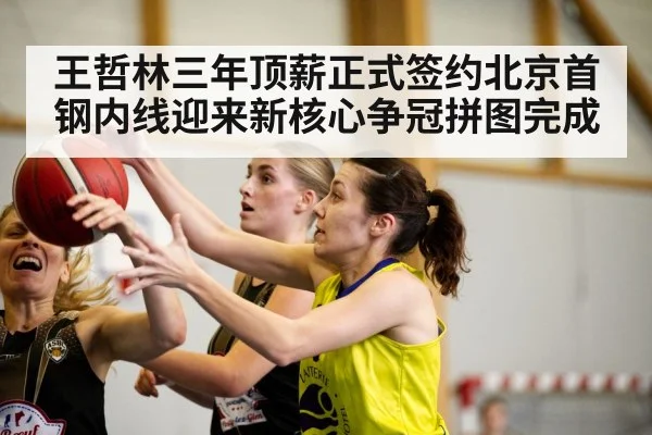 王哲林三年顶薪正式签约北京首钢内线迎来新核心争冠拼图完成